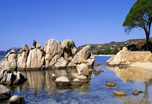 Faker迎来十赛季出色发挥，G2观众热烈欢呼！比赛高潮迭起的简单介绍